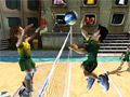 Jogo Super Volleyball Brazil